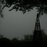 Black and grays with a hint of green