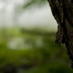 Made for open text placement